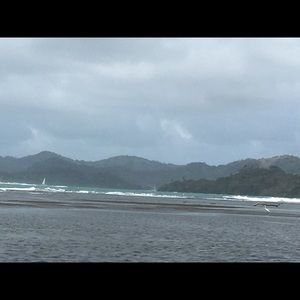 Meet your Posher, Selines